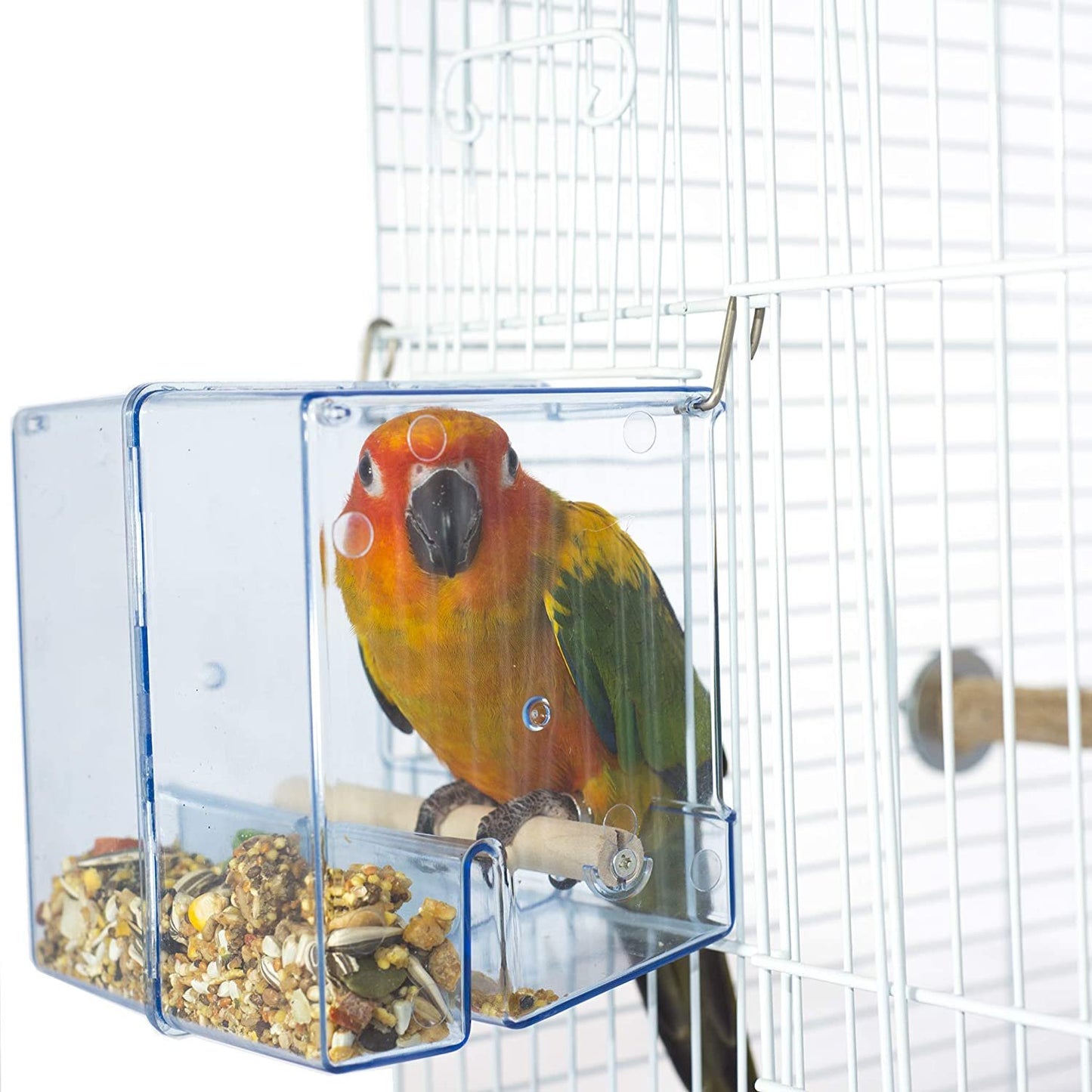 Birds LOVE Bird Feeder Seed Catcher Tray Hanging Cup Food Dish for Cage for Small Birds Lovebirds Cockatiels Canaries Sun Conures (Blue)