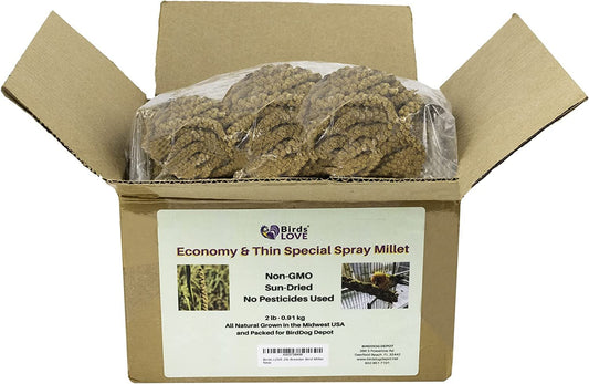 Birds LOVE 2lb Breeder Bird Millet