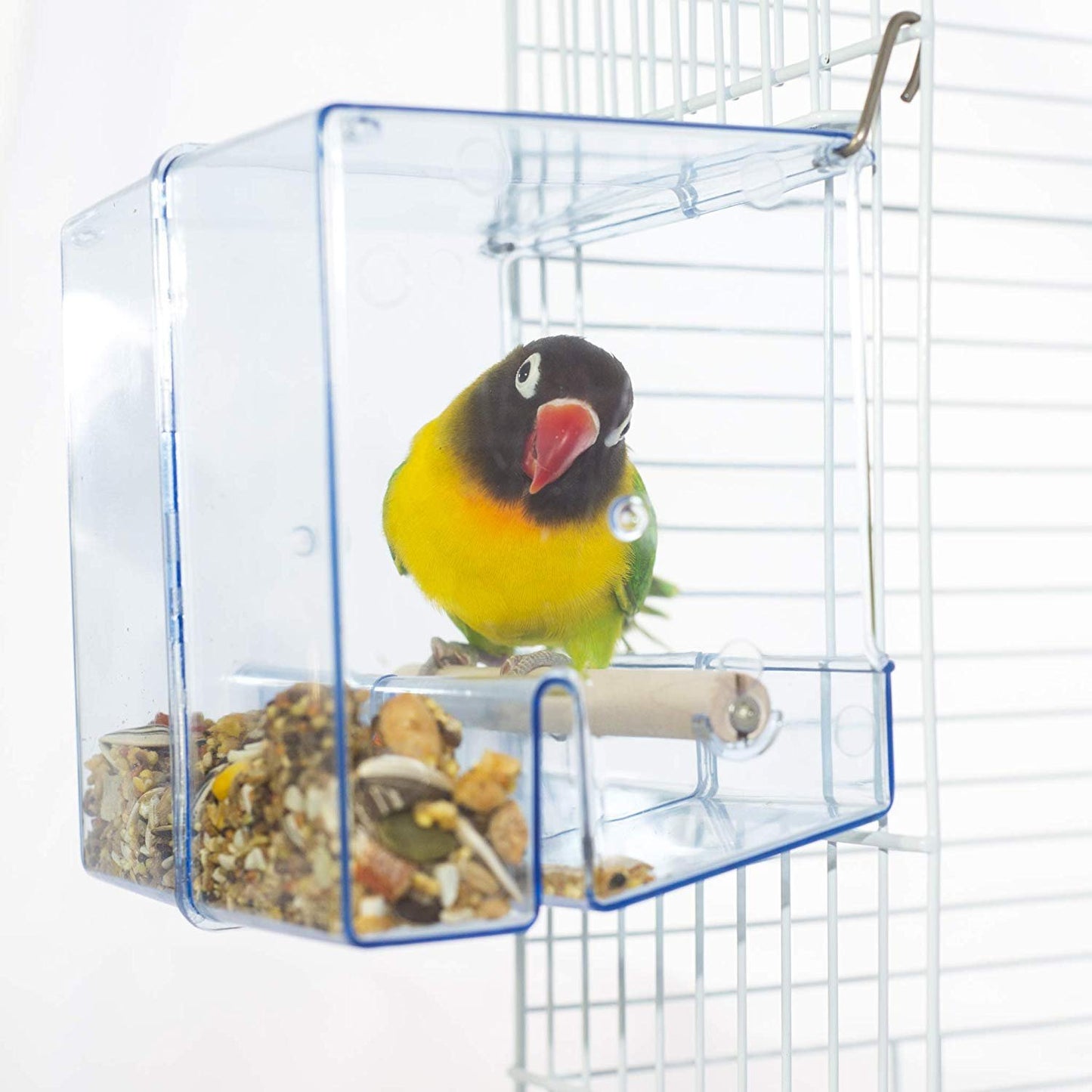 Birds LOVE Bird Feeder Seed Catcher Tray Hanging Cup Food Dish for Cage for Small Birds Lovebirds Cockatiels Canaries Sun Conures (Blue)