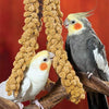 Nemeth Farms Worlds Freshest Spray Millet The Original Bird Treat and Supplement for All Pet Birds Especially Parakeets, Cockatiels, Lovebirds and Finches