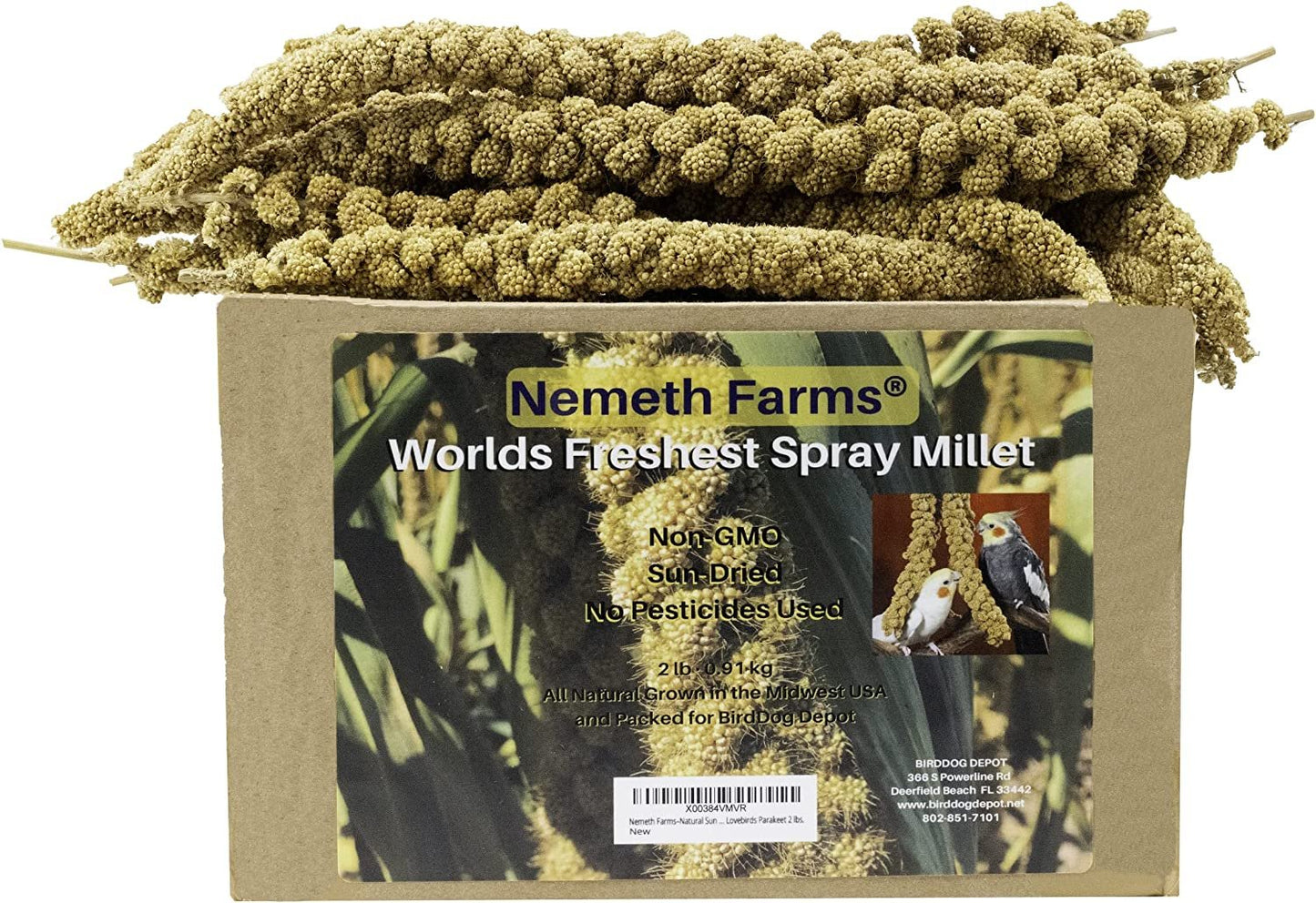 Nemeth Farms–Natural Sun Dried Millet Spray for Pet Birds–Bul2k Parrot Seed Treats and Parrot Food–Natural Non GMO Millet Spray–Cockatiels Lovebirds Parakeet 2 lbs.