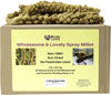 Birds LOVE Wholesome & Lovely Spray Millet Non-GMO for Birds Cockatiel Lovebird Parakeet Finch Canary All Parrots Healthy Treat - 2LBS (Free Shipping)