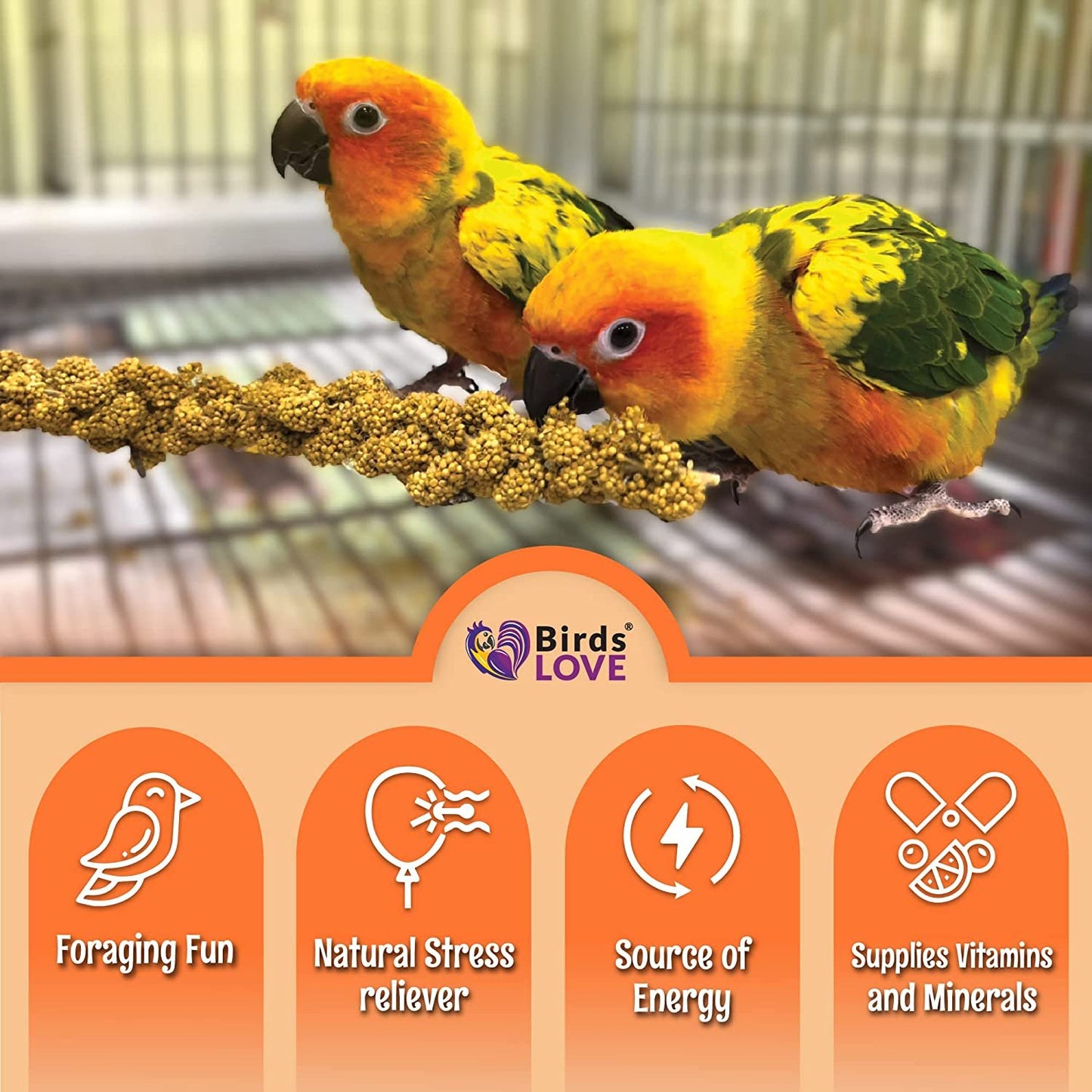 Birds LOVE Wholesome & Lovely Spray Millet Non-GMO for Birds Cockatiel Lovebird Parakeet Finch Canary All Parrots Healthy Treat - 2LBS (Free Shipping)
