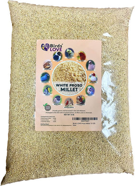 Birds LOVE Proso Millet 10 LBS