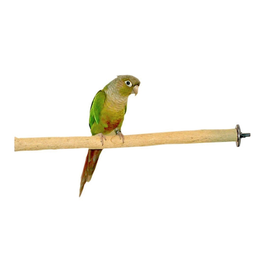 Birds LOVE Bottlebrush Wood Bird Cage Perch