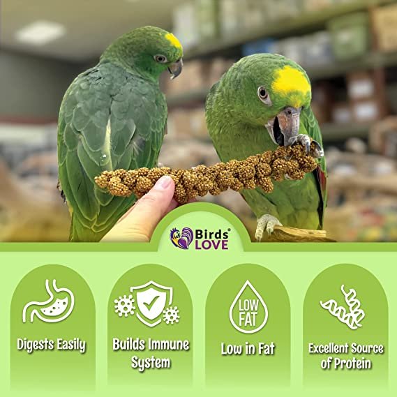 Nemeth Farms–Natural Sun Dried Millet Spray for Pet Birds–Bul2k Parrot Seed Treats and Parrot Food–Natural Non GMO Millet Spray–Cockatiels Lovebirds Parakeet 2 lbs.