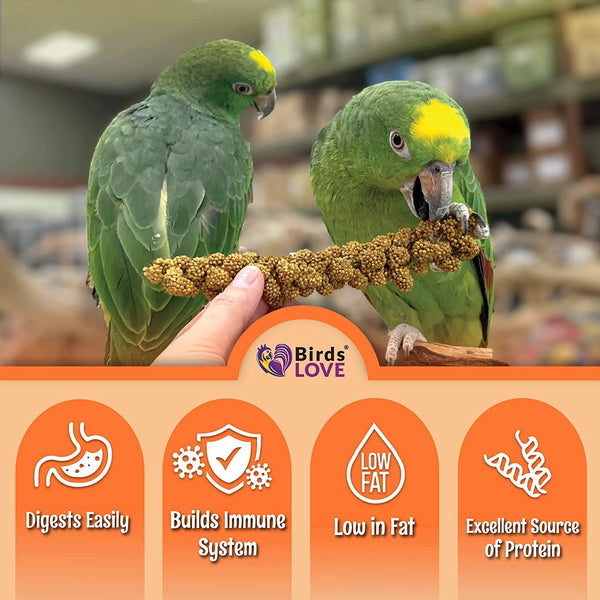 Birds LOVE Wholesome & Lovely Spray Millet Non-GMO for Birds Cockatiel Lovebird Parakeet Finch Canary All Parrots Healthy Treat - 2LBS (Free Shipping)