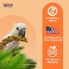 Birds LOVE Wholesome & Lovely Spray Millet Non-GMO for Birds Cockatiel Lovebird Parakeet Finch Canary All Parrots Healthy Treat - 2LBS (Free Shipping)