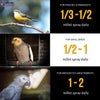 Birds LOVE Spray Millet for Cockatiel 1lb Lovebird Parakeet Canary Food Treat