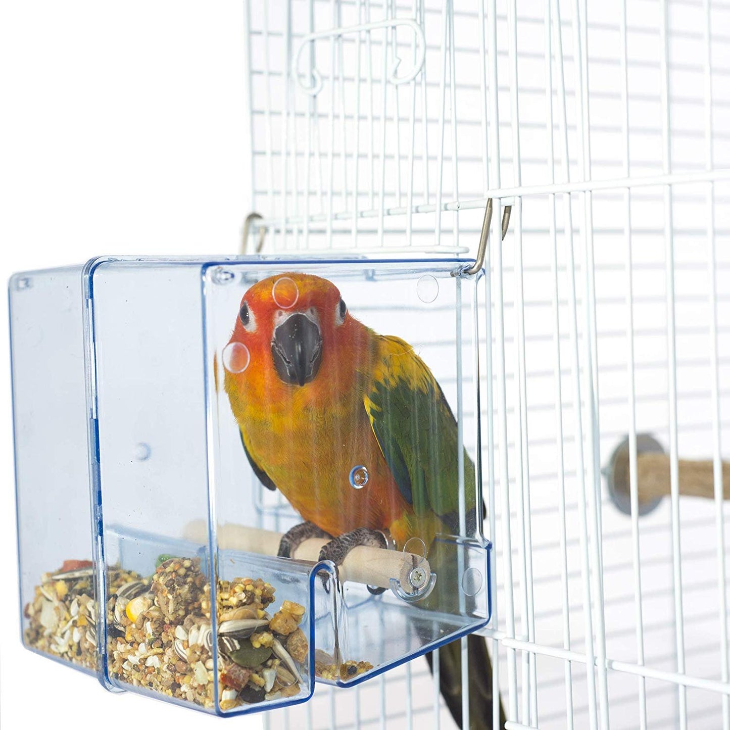 Birds LOVE Bird Feeder Seed Catcher Tray Hanging Cup Food Dish for Cage for Small Birds Lovebirds Cockatiels Canaries Sun Conures (Blue)