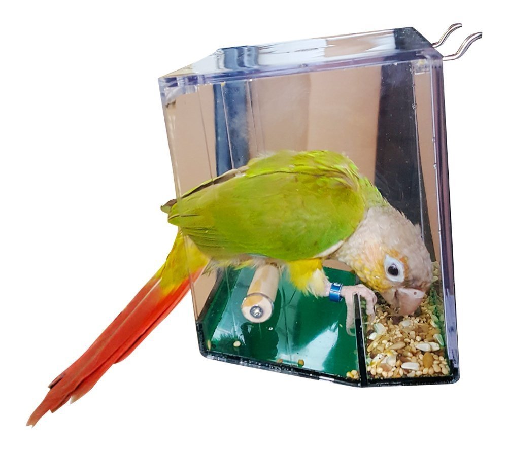 Birds LOVE No Mess Bird Feeder