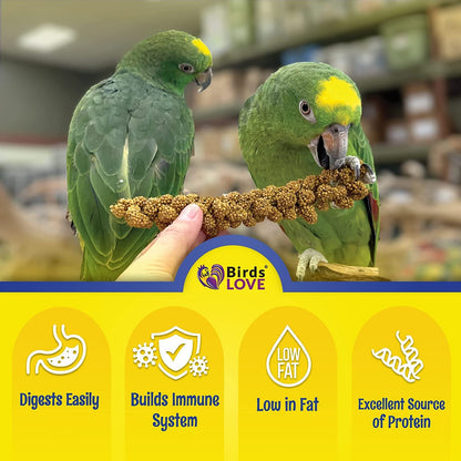 Birds LOVE Economy & Thin Special Spray Millet GMO-Free No Pesticides (No Stems Only Edible Tops) for Birds Cockatiel Lovebird Parakeet Finch Canary All Parrots Healthy Treat - 7oz (2pk)